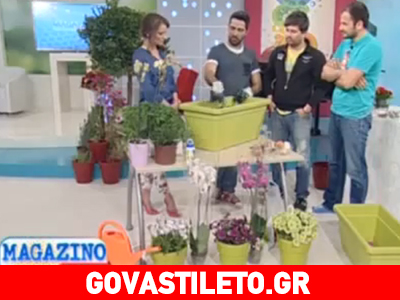 Φτιάξτε μποστάνι στο μπαλκόνι σας!